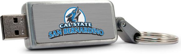 EMB DRIVE 16GB KEYCHAIN 1100