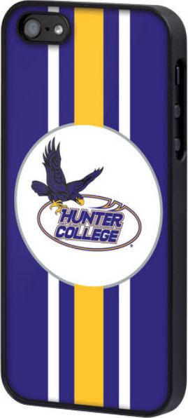CASE IPHONE55S STRIPE ST 1273