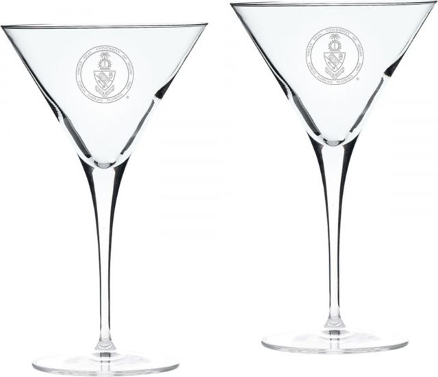 Set of 2 Luigi Bormioli Titanium Martini Glass - 10 oz- ONLINE ONLY