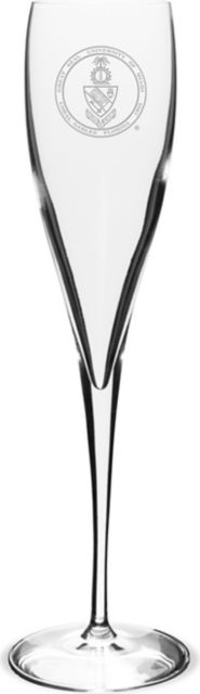 Titanium Toasting Glass - 10 oz- ONLINE ONLY