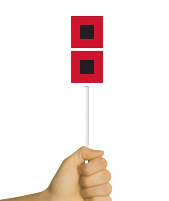 Miami Hurricanes Pops Flag