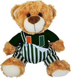 Miami Hurricanes 10'' Game Day Bear