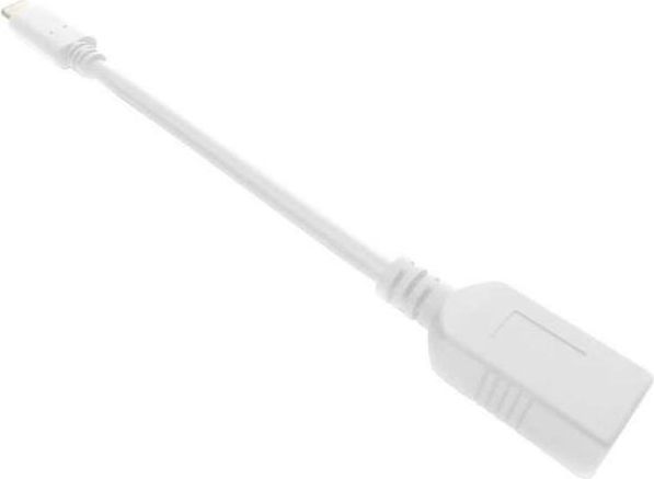 IESS USBC TO A  ADPTR WHT 6"
