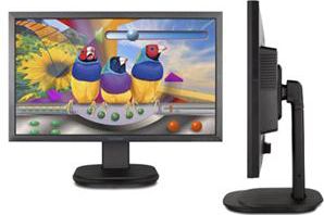 24'' Full HD Ergonomic LED Monitor with HDMI - Black- ONLINE ONLY