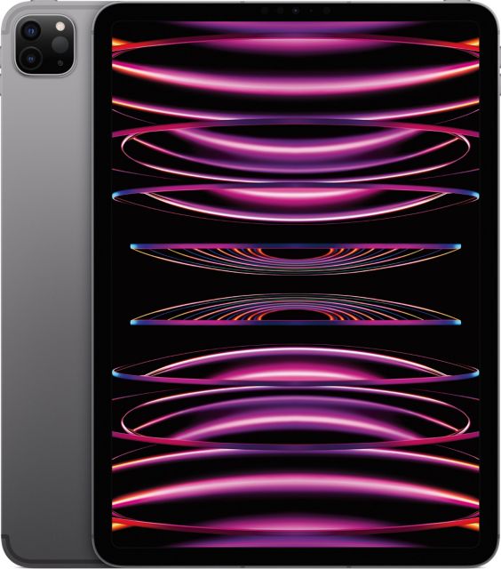 11-INCH IPAD PRO WI-FI + CELLULAR 256GB - SPACE GRAY- ONLINE ONLY