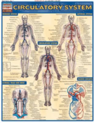 CIRCULATORY SYSTEM